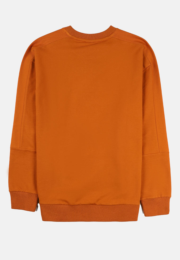 Cheetah Men Oversized Long SLeeve Sweatshirt - 61180