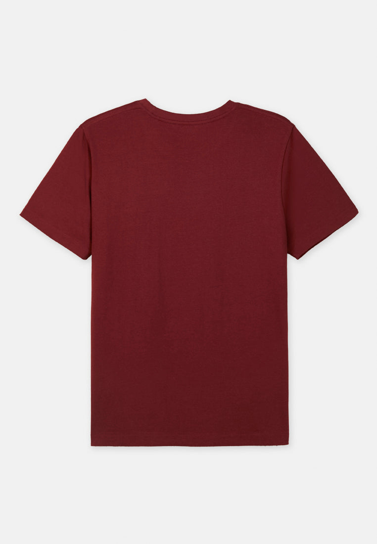 Cheetah Premium Cotton Round Neck Short Sleeve T-Shirt (B)- 99276(R)