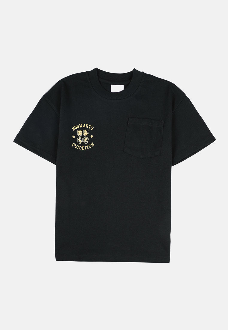 Cheetah Kids Harry Potter Boy Short Sleeves Roundneck Tee - CJ-92740(D)