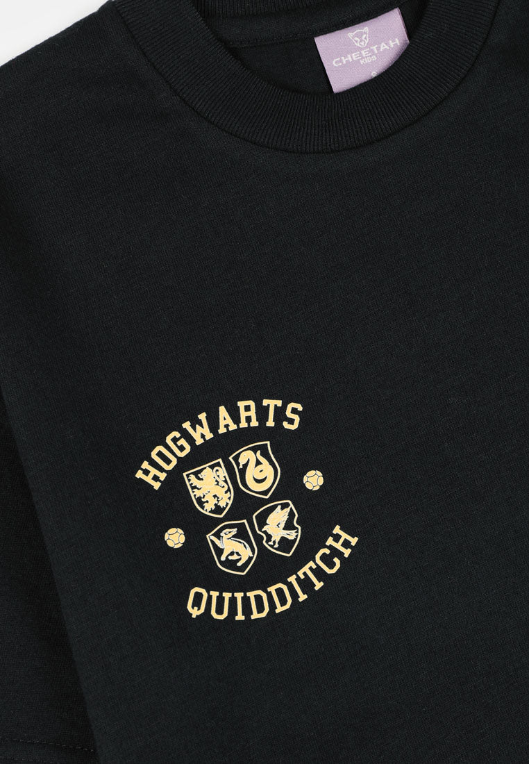 Cheetah Kids Harry Potter Boy Short Sleeves Roundneck Tee - CJ-92740(D)