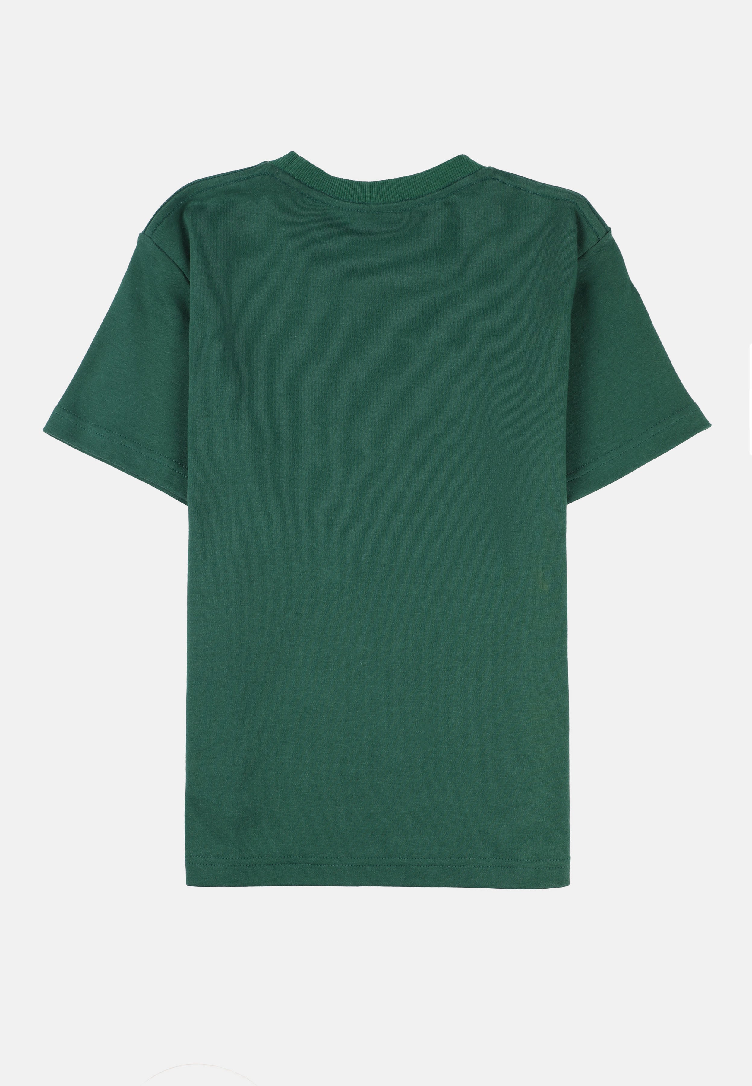 Cheetah Kids AOT Boy Regular Fit Cotton Short Sleeves Roundneck Tee - CJ-92908