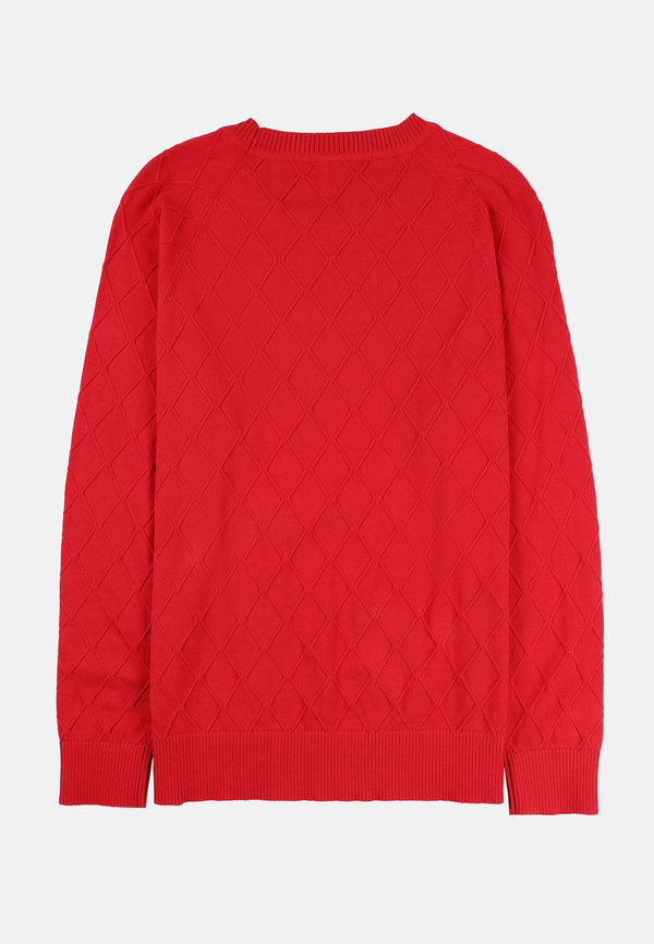 CHEETAH Women Yarn Knit Long Sleeve Sweater - CL-66226