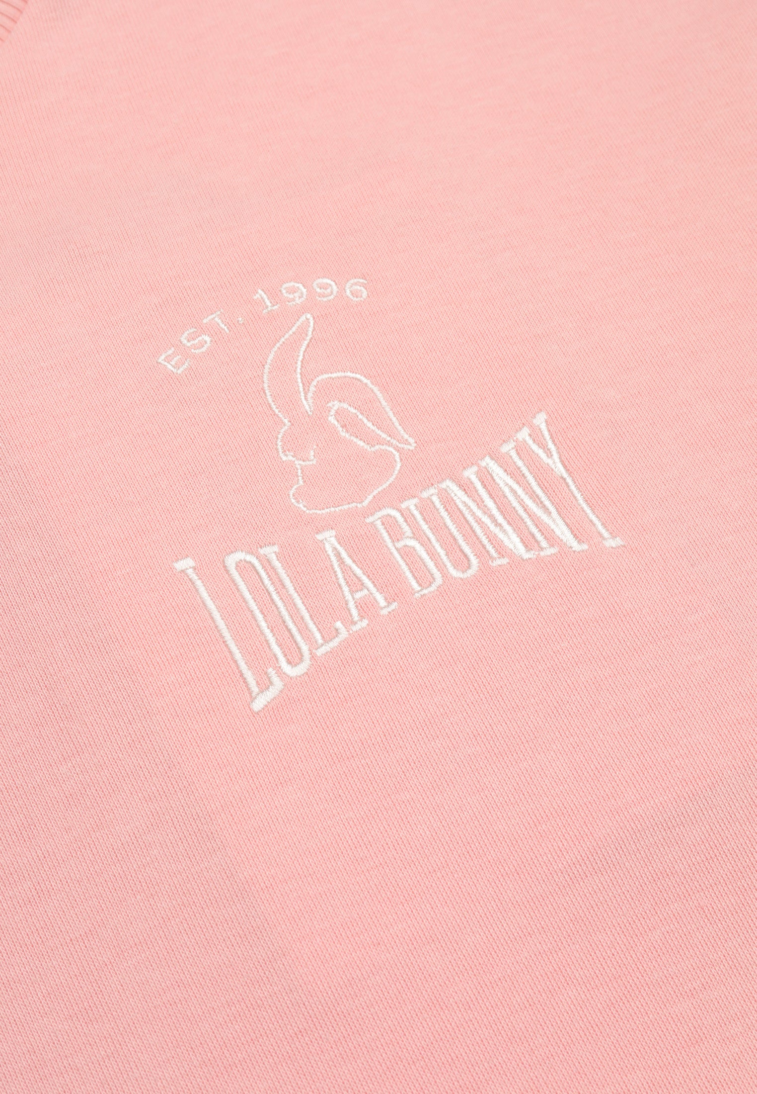 Cheetah Women Looney Tunes Loose Fit Cotton Blend Long Sleeve Printed Graphic Round Neck Sweatshirt - CL-66616