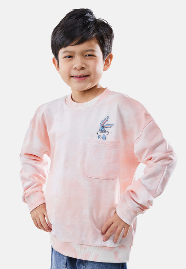 Cheetah Kids Looney Tunes Boy Long Sleeves Roundneck Sweatshirt - CJ-6830