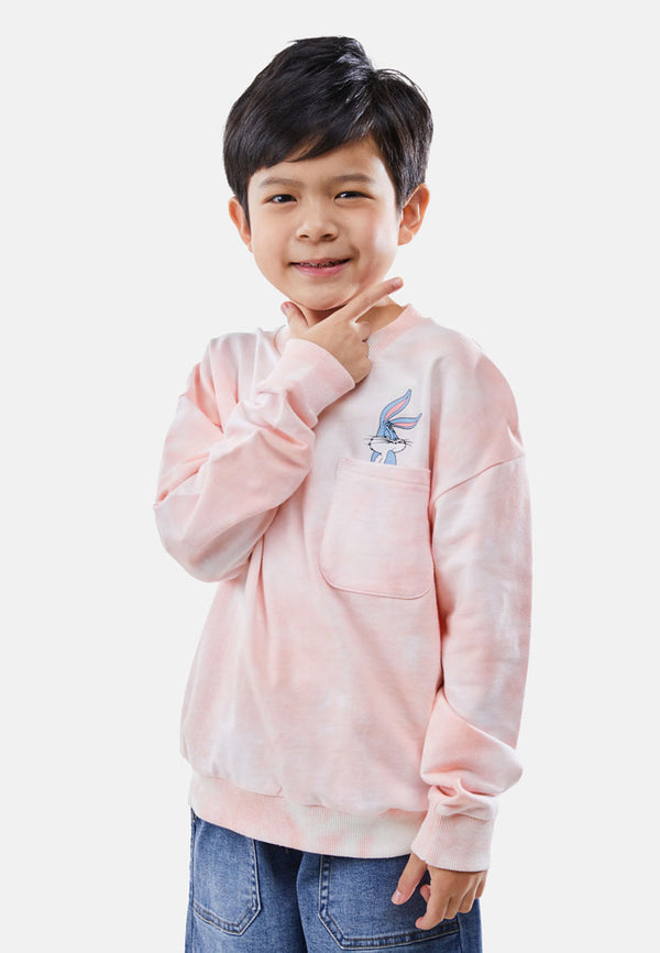 Cheetah Kids Looney Tunes Boy Long Sleeves Roundneck Sweatshirt - CJ-6830