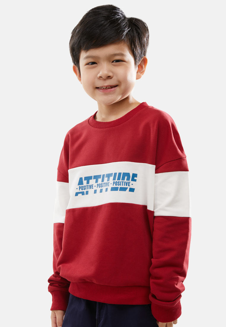 Cheetah Kids Boy Long Sleeves Sweatshirt - CJ-6820