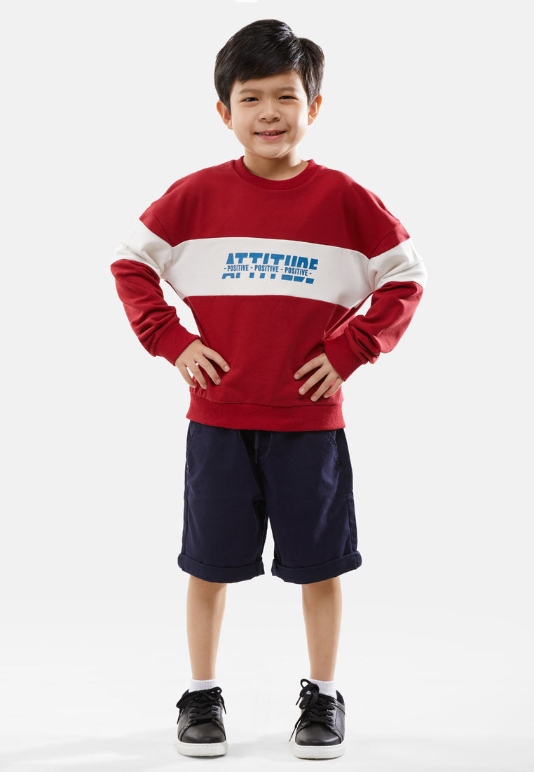 Cheetah Kids Boy Long Sleeves Sweatshirt - CJ-6820