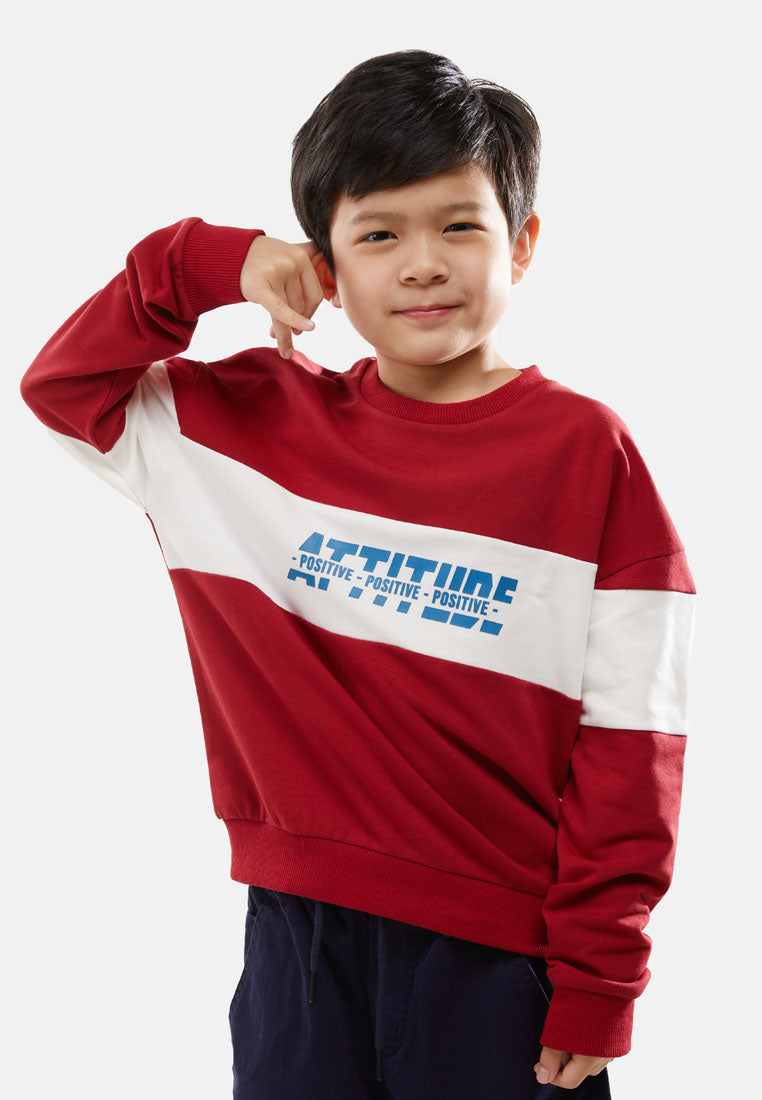 Cheetah Kids Boy Long Sleeves Sweatshirt - CJ-6820