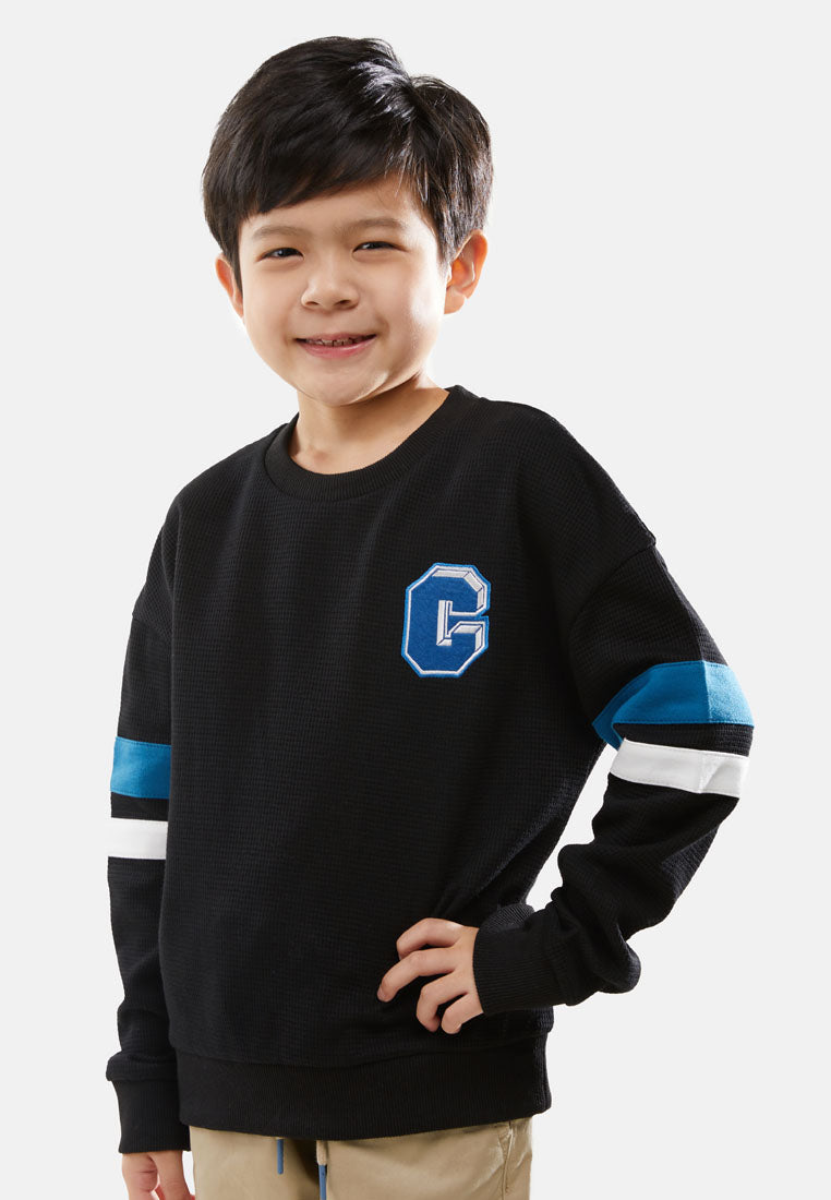 Cheetah Kids Boy Long Sleeves Sweatshirt - CJ-6826