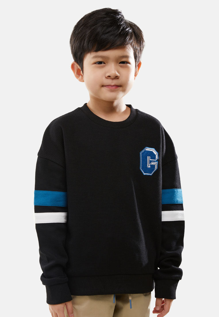 Cheetah Kids Boy Long Sleeves Sweatshirt - CJ-6826