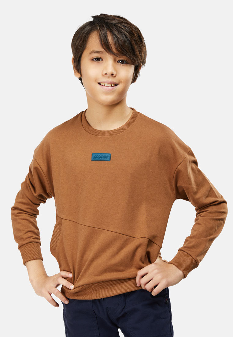 Cheetah Kids Boy Long Sleeves Sweatshirt - CJ-6818