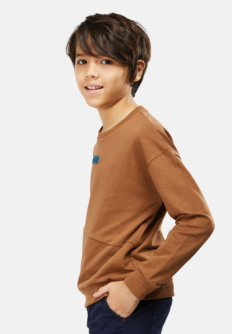 Cheetah Kids Boy Long Sleeves Sweatshirt - CJ-6818