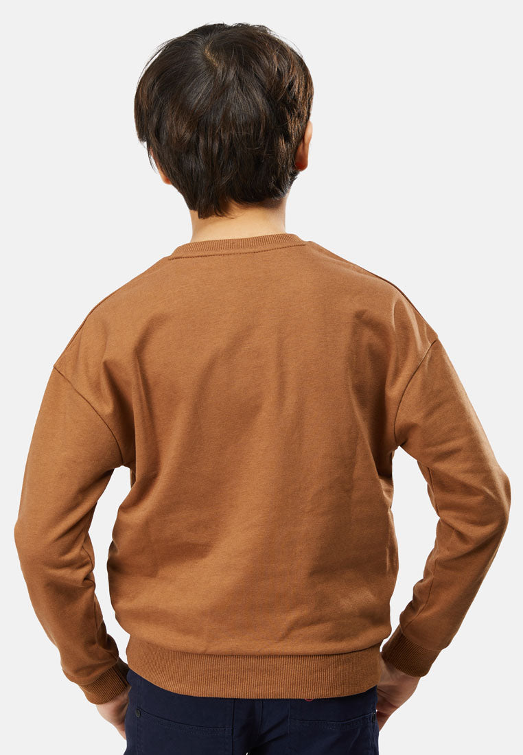Cheetah Kids Boy Long Sleeves Sweatshirt - CJ-6818