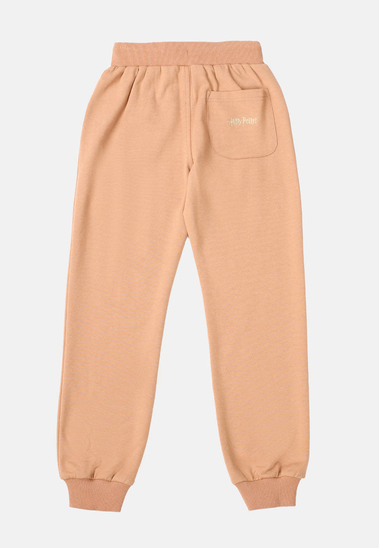 Cheetah Kids Boy Harry Potter Sweatpants - CJ-5746