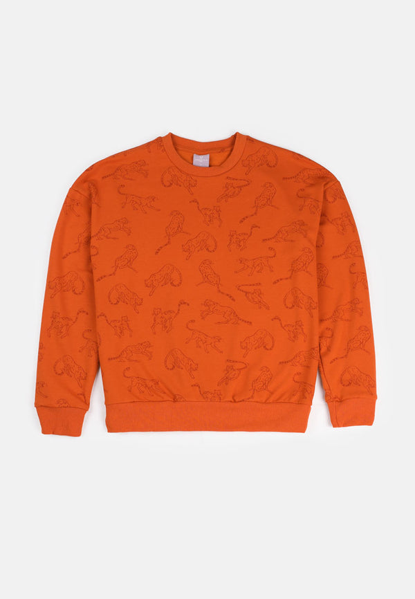 Cheetah Kids Safari Boy Long Sleeves Roundneck Sweatshirt - CJ-6882