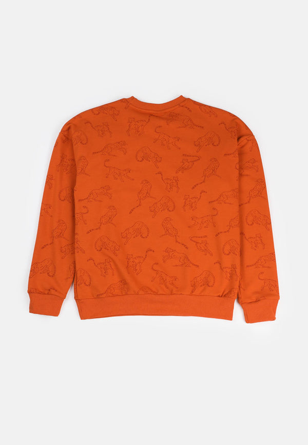 Cheetah Kids Safari Boy Long Sleeves Roundneck Sweatshirt - CJ-6882